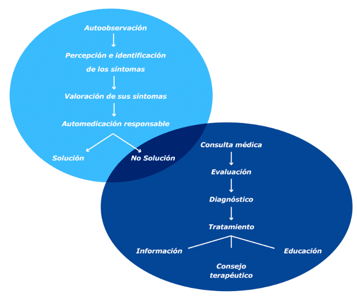 Figura 1. Esquema de Colaboración Médico Paciente