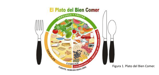 el plato del buen comer